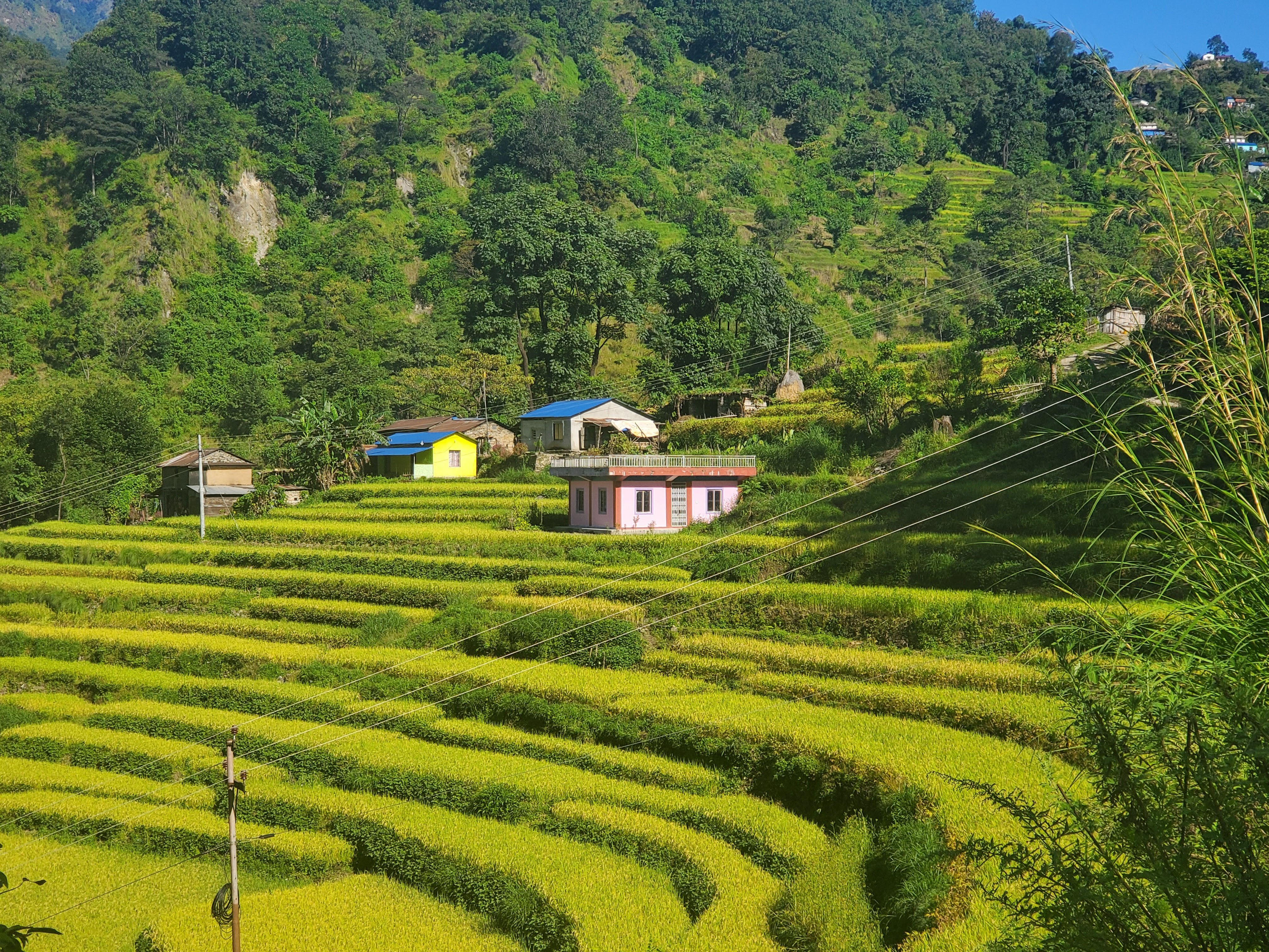Lowlands, Annapurna Circuit